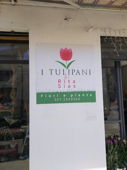 I Tulipani Di Rita Sias, Fiorista a Ghilarza