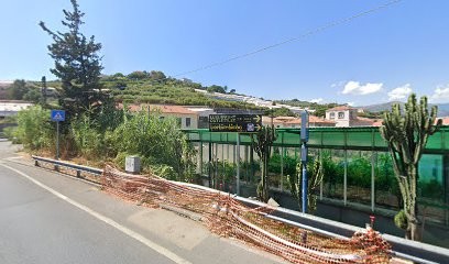 Staff Fiori S.r.l. Commercio Ingrosso Fiori, Fiorista a Sanremo