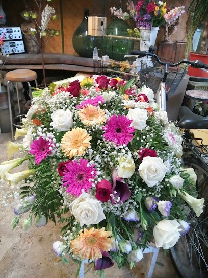 Brianza Antica, Fiorista a Mariano Comense