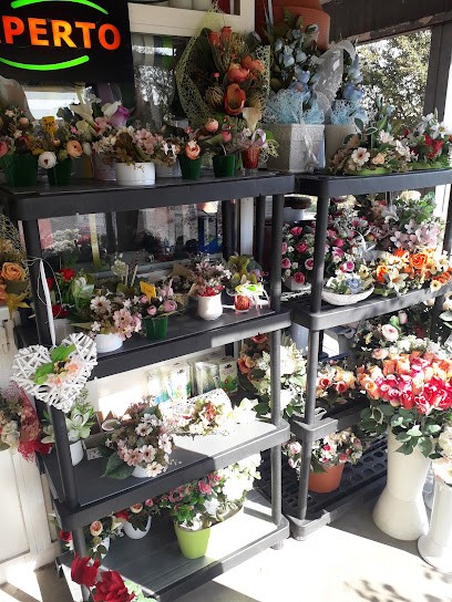 Il Chiosco Di Mainardi Annalisa, Fiorista a Copparo