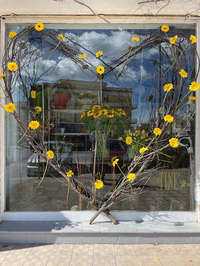 ANGELO TINE' Floral Designer, Fiorista a Siracusa