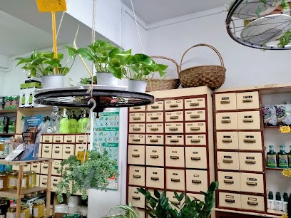 Agraria Rugani E Donatelli, Fiorista a Viareggio