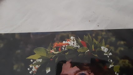 L'Angolo Verde, Fiorista a Vaiano Cremasco