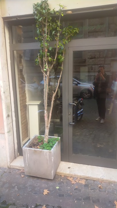 Flower Designer Augusto Manzone Roma, Fiorista a Roma