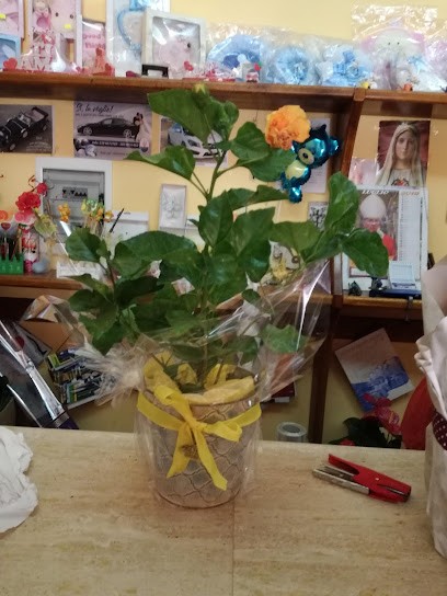 Idea Verde, Fiorista a Siculiana