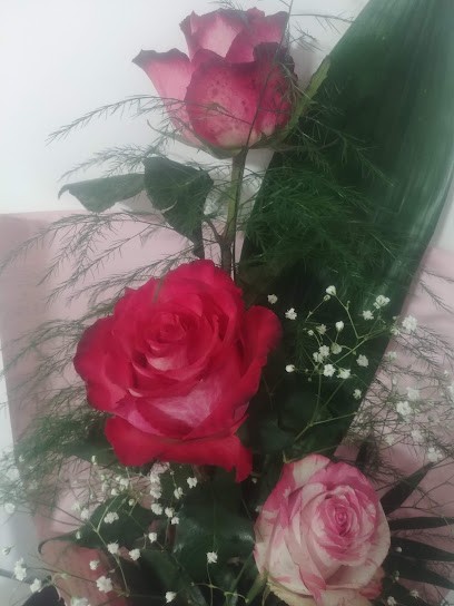 La Patti Flora di Mollica Giovanna, Fiorista a Patti