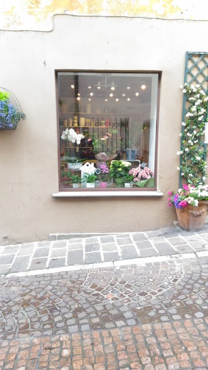 Fiorista, Fiorista a Menaggio