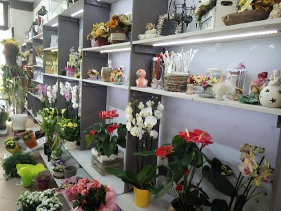 Albano Diana, Fiorista a Villanova d'Asti