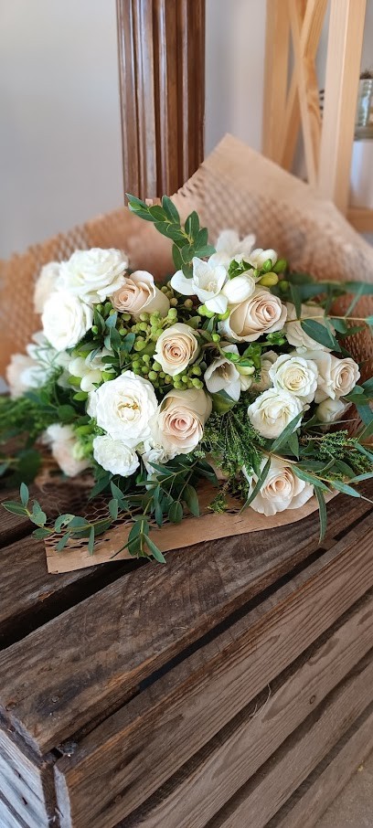 Petali E Spine Fioreria, Fiorista a Ferrara