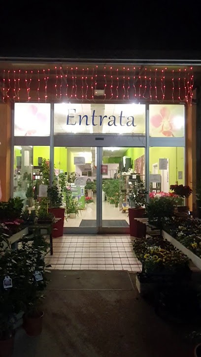 Valleverde Ortoflora, Fiorista a Monsano