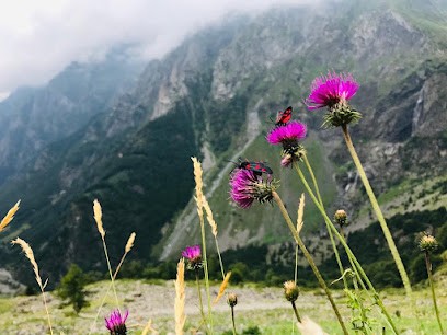 Boutique Del Fiore Di Bono Pietro, Fiorista a San Giuseppe Jato