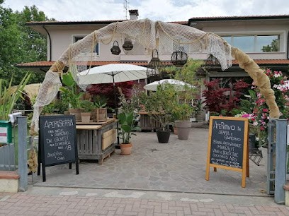 Serramare Piante E Cucina - Fiorista A Cesenatico, Fiorista a Cesenatico