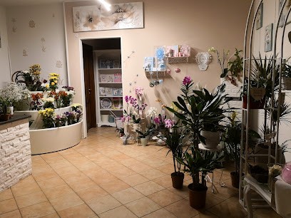 Arcobaleno Fiorito, Fiorista a Posada