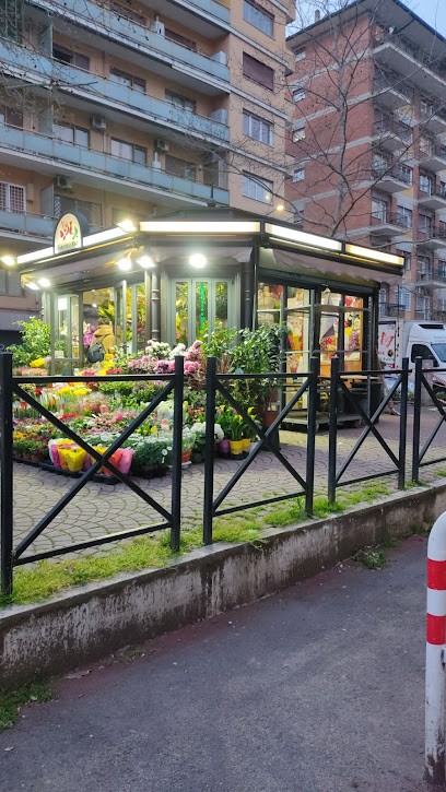 Fiori E Piante Roberto & Nada, Fiorista a Roma