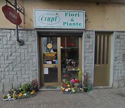 Crupi Fiori E Piante, Fiorista a Grugliasco
