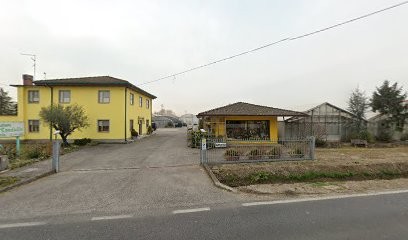 Azienda Agricola Tondello Pietro Eredi S.S., Fiorista a Palazzolo dello Stella