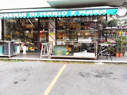 La Fioreria Di Mario E Mara, Fiorista a Roma