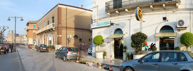 Pellegrino Punto Verde Fiori, Fiorista a Venosa