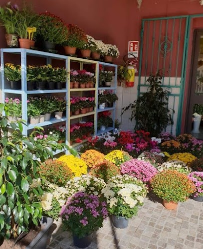 Floricoltura Cinzia, Fiorista a Uta