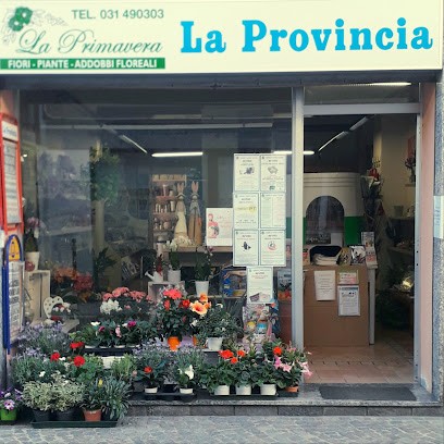 La Primavera - Piante e fiori di Pini Emma, Fiorista a Lurate Caccivio