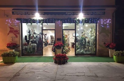 L'Orchidea Di Russo Rosalia E C. Sas, Fiorista a Carini