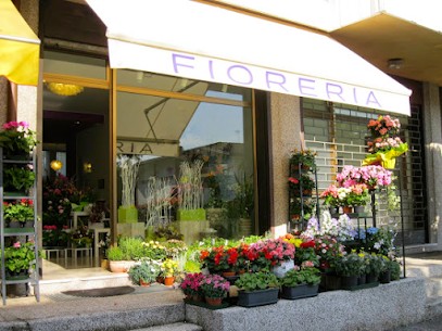 Orchidea Fiori E Idee, Fiorista a Prata di Pordenone