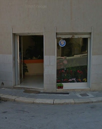 Marino Gaspare Fiori E Piante, Fiorista a Marsala