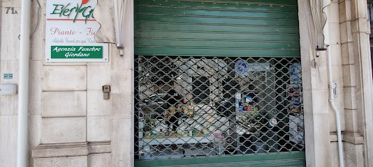 Evergreen di Giordano, Fiorista a Conversano