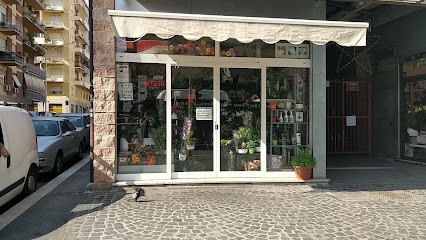 Piante E Fiori Di Minhas, Fiorista a Roma