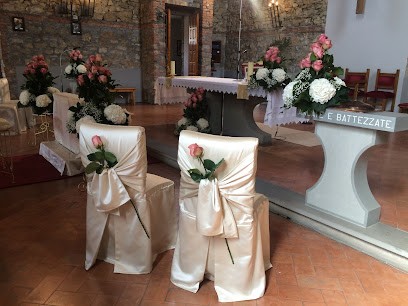 La Rosa Blu...in Banditella, Fiorista a Livorno