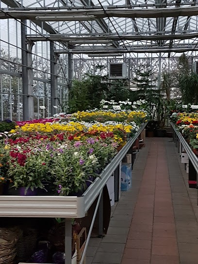 Colombo Marcello & C. sas Piante e Fiori, Fiorista a Casatenovo