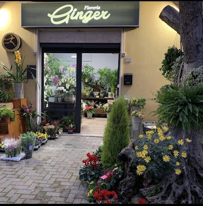 Fioreria Ginger di Previati Laura e C. •Interflora, Fiorista a Aprilia