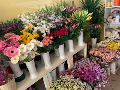 Il Villaggio Dei Fiori Di Katia Tramontano, Fiorista a Valmontone