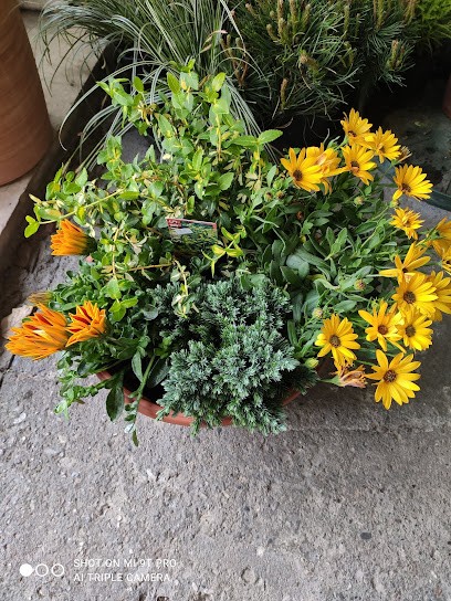 Picinali Fioristi S.A.S. Di Picinali Giacomo & C., Fiorista a Vertova