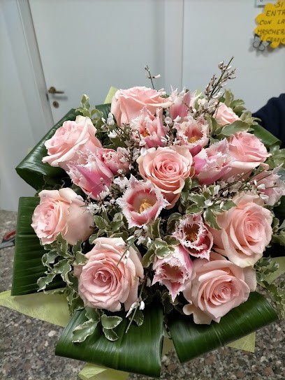 Fiori e Piante, Fiorista a Lungavilla