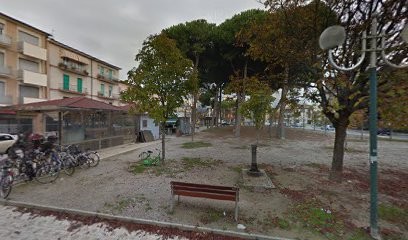 Fiori Della Vecchia Viareggio, Fiorista a Viareggio