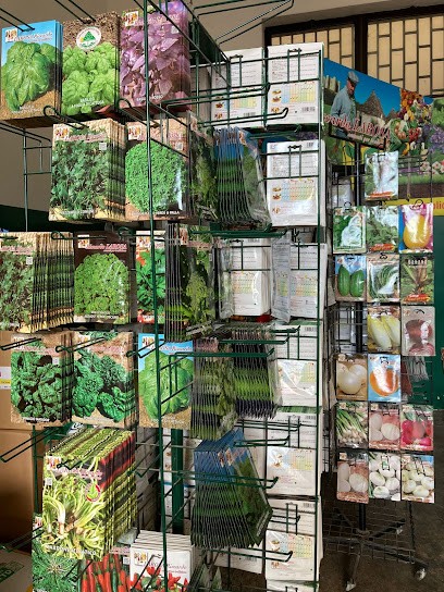 Agrilillo Srl, Fiorista a Santeramo in Colle