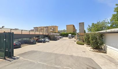 Every Green Flora Srl, Fiorista a San Prisco