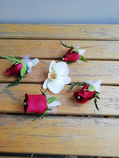 Il Girasole, Fiori Piante E Bouquet, Fiorista a Torino