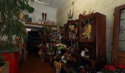 Fantasie Di Zuccala M.Teresa Snc, Fiorista a Sant'Angelo Lodigiano