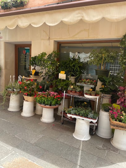 Fioreria Al Bocolo, Fiorista a Venezia
