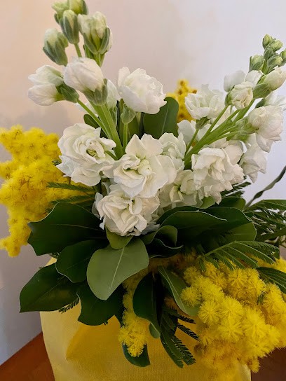 I Fiori Di Valeria, Fiorista a San Severo