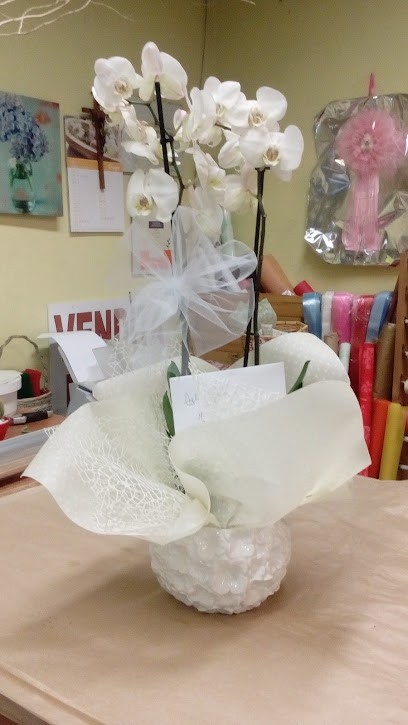 Crisma Di Lorenzetti Renato, Fiorista a Villimpenta