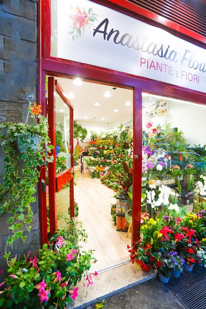 Piante E Fiori Anastasia Flowers, Fiorista a Roma
