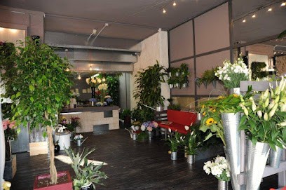 Fiorista Lazzarini | L' Essenzialità Del Fiore, Fiorista a Pietrasanta