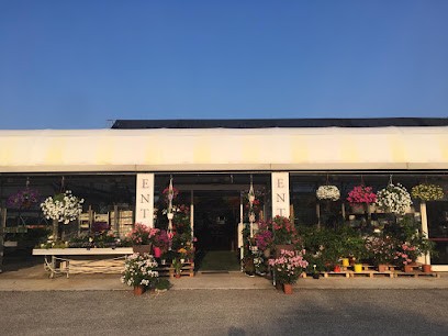 FIORERIA GARDEN CIMAROSA, Fiorista a Montereale Valcellina
