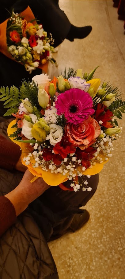 Verde Idea, Fiorista a Vercelli