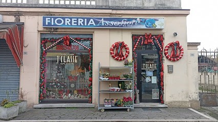 Fioreria Asso Di Fiori, Fiorista a Porto Viro