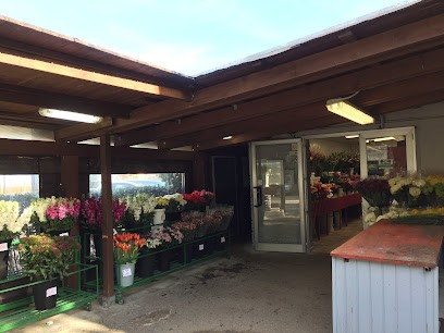 ZITTI STEFANIA, Fiorista a Osimo