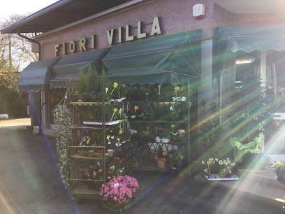 Villa Patrizia Fiori, Fiorista a Moncalieri